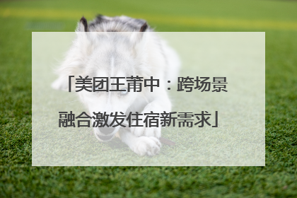 美团王莆中：跨场景融合激发住宿新需求