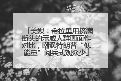 美媒：希拉里用挤满街头的示威人群画面作对比，嘲讽特朗普“低能量”阅兵式观众少