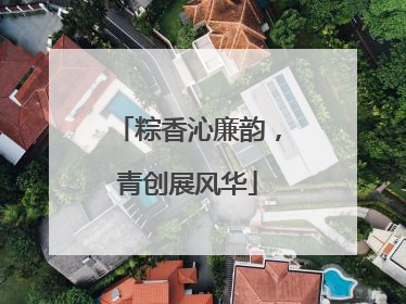 粽香沁廉韵，青创展风华