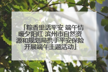 粽香里话平安 端午情暖夕阳红 滨州市自然资源和规划局携手平安保险开展端午主题活动