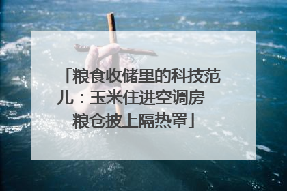 粮食收储里的科技范儿：玉米住进空调房 粮仓披上隔热罩