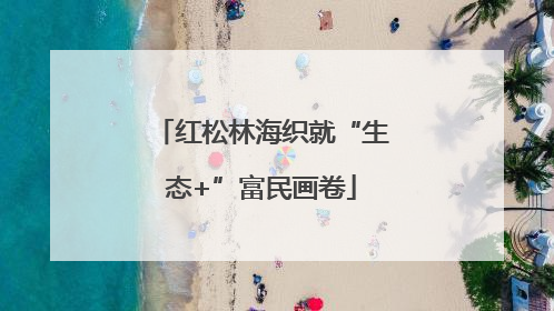 红松林海织就“生态+”富民画卷