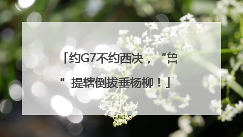 约G7不约西决，“鲁”提辖倒拔垂杨柳！