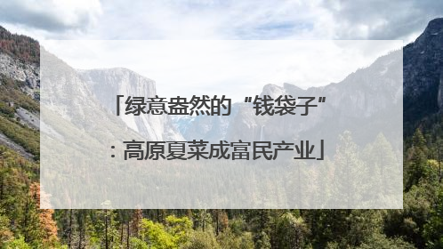 绿意盎然的“钱袋子”：高原夏菜成富民产业