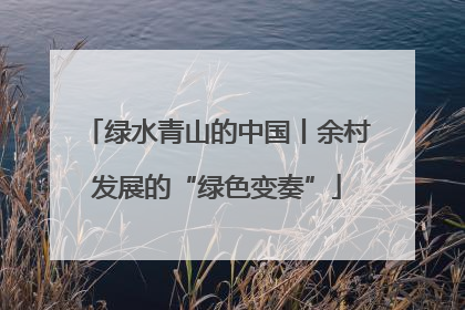 绿水青山的中国丨余村发展的“绿色变奏”