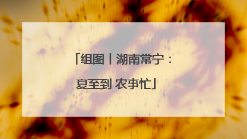 组图丨湖南常宁：夏至到 农事忙