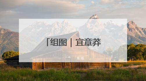 组图｜宜章莽山：各类珍稀动物频“出镜”