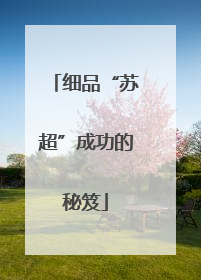 细品“苏超”成功的秘笈