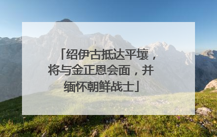 绍伊古抵达平壤，将与金正恩会面，并缅怀朝鲜战士