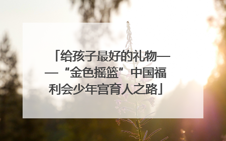 给孩子最好的礼物——“金色摇篮”中国福利会少年宫育人之路