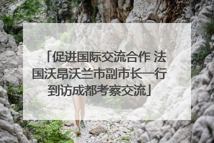促进国际交流合作 法国沃昂沃兰市副市长一行到访成都考察交流