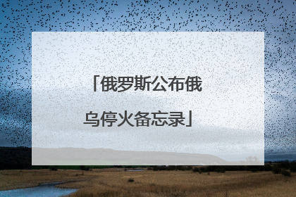 俄罗斯公布俄乌停火备忘录