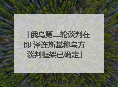 俄乌第二轮谈判在即 泽连斯基称乌方谈判框架已确定