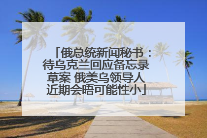俄总统新闻秘书：待乌克兰回应备忘录草案 俄美乌领导人近期会晤可能性小