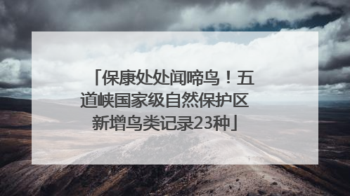 保康处处闻啼鸟！五道峡国家级自然保护区新增鸟类记录23种