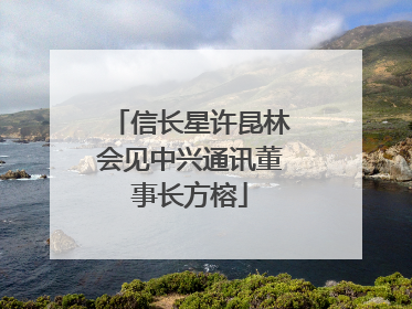 信长星许昆林会见中兴通讯董事长方榕
