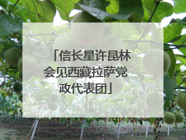 信长星许昆林会见西藏拉萨党政代表团
