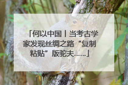 何以中国丨当考古学家发现丝绸之路“复制粘贴”版驼夫……