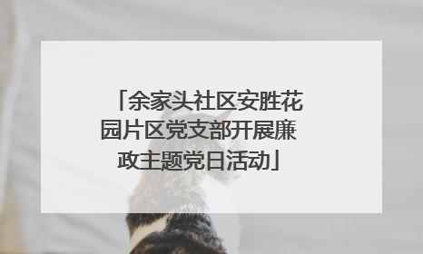 余家头社区安胜花园片区党支部开展廉政主题党日活动