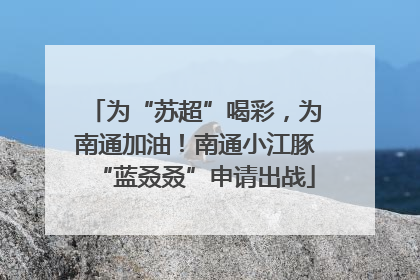 为“苏超”喝彩，为南通加油！南通小江豚“蓝叒叒”申请出战