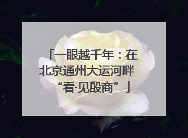 一眼越千年：在北京通州大运河畔“看·见殷商”