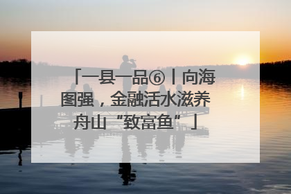 一县一品⑥丨向海图强，金融活水滋养舟山“致富鱼”