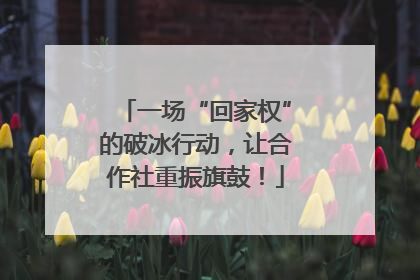 一场“回家权”的破冰行动，让合作社重振旗鼓！