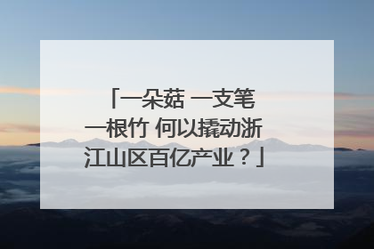一朵菇 一支笔 一根竹 何以撬动浙江山区百亿产业？