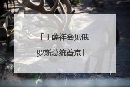 丁薛祥会见俄罗斯总统普京