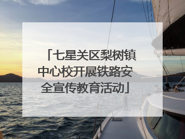 七星关区梨树镇中心校开展铁路安全宣传教育活动