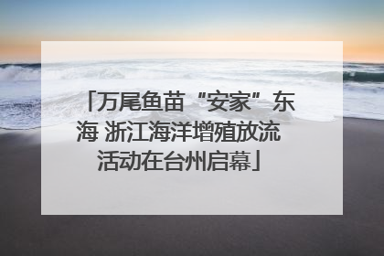 万尾鱼苗“安家”东海 浙江海洋增殖放流活动在台州启幕