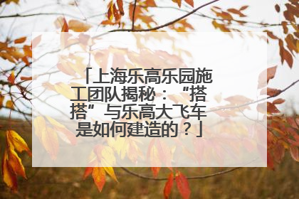 上海乐高乐园施工团队揭秘：“搭搭”与乐高大飞车是如何建造的？