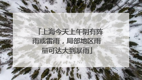 上海今天上午阴有阵雨或雷雨，局部地区雨量可达大到暴雨