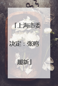 上海市委决定：张鸣履新