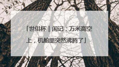 世俱杯｜闲记：万米高空上，机舱里突然沸腾了