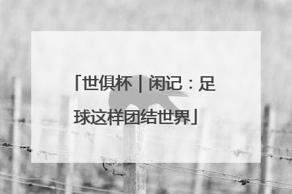 世俱杯｜闲记：足球这样团结世界