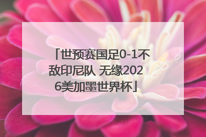 世预赛国足0-1不敌印尼队 无缘2026美加墨世界杯