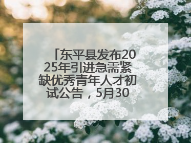 东平县发布2025年引进急需紧缺优秀青年人才初试公告，5月30日开展面谈