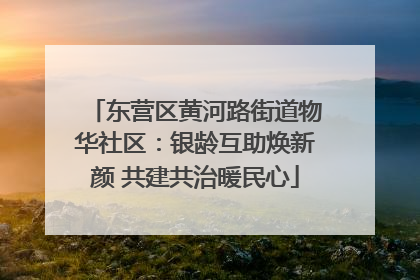 东营区黄河路街道物华社区：银龄互助焕新颜 共建共治暖民心