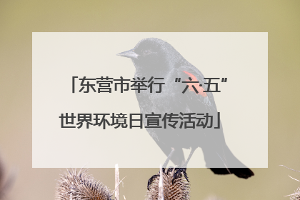 东营市举行“六·五”世界环境日宣传活动