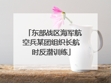 东部战区海军航空兵某团组织长航时反潜训练