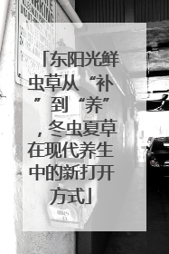 东阳光鲜虫草从“补”到“养”，冬虫夏草在现代养生中的新打开方式