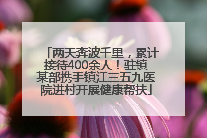 两天奔波千里，累计接待400余人！驻镇某部携手镇江三五九医院进村开展健康帮扶