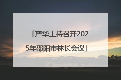 严华主持召开2025年邵阳市林长会议