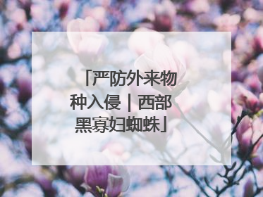 严防外来物种入侵｜西部黑寡妇蜘蛛