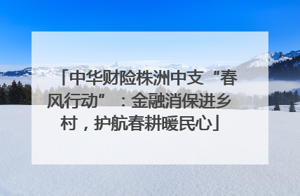 中华财险株洲中支“春风行动”：金融消保进乡村，护航春耕暖民心
