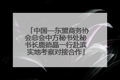 中国—东盟商务协会总会中方秘书处秘书长鹿德晶一行赴滨实地考察对接合作
