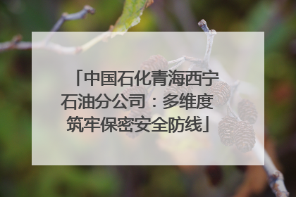 中国石化青海西宁石油分公司：多维度筑牢保密安全防线