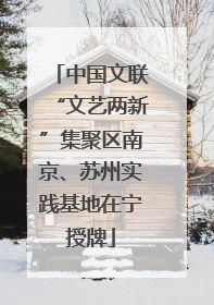 中国文联“文艺两新”集聚区南京、苏州实践基地在宁授牌