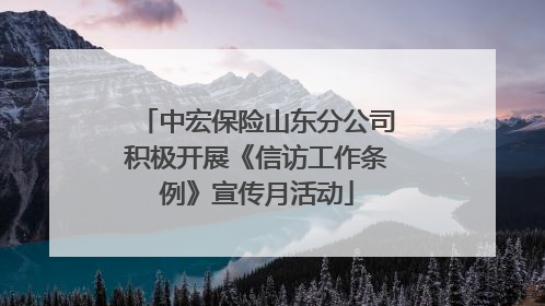 中宏保险山东分公司积极开展《信访工作条例》宣传月活动